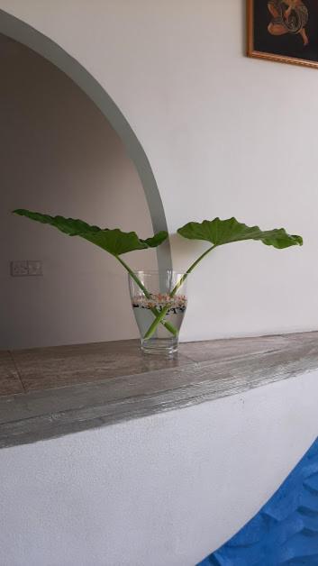 Akurala Beach Boutique Resort 외부 사진