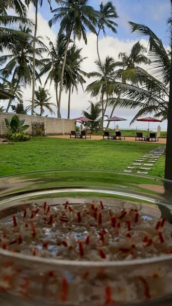 Akurala Beach Boutique Resort 외부 사진